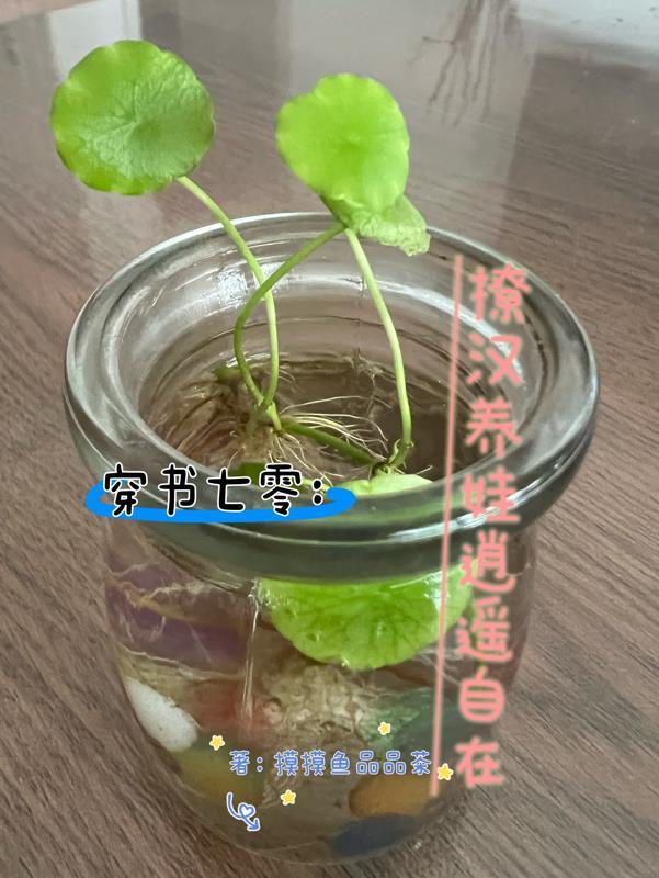 躺平黑莲靠做咸鱼飞升了pazw